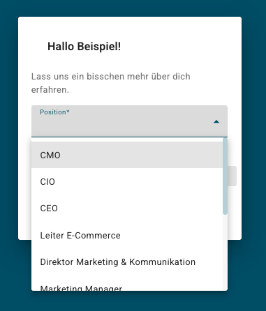 Auswahl der Position im Dropdown